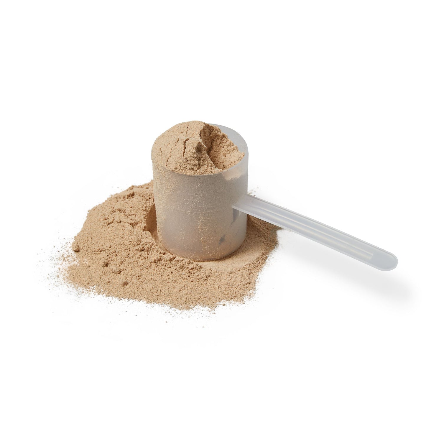 Powdered supplement close-up showing a leveled scoop resting on a pile of fine whey protein.