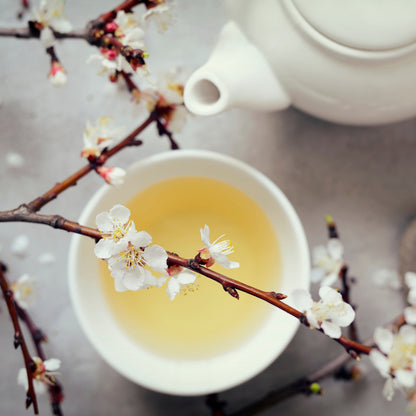 Katherine Home White Tea & Fig Candle concept image with a cup of tea and a blooming branch representing purity and calm.